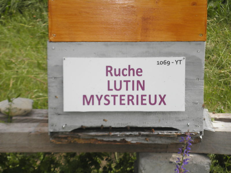 La ruche