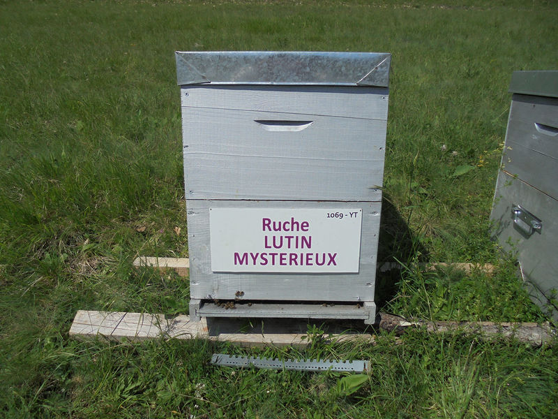 La ruche Lutin mysterieux