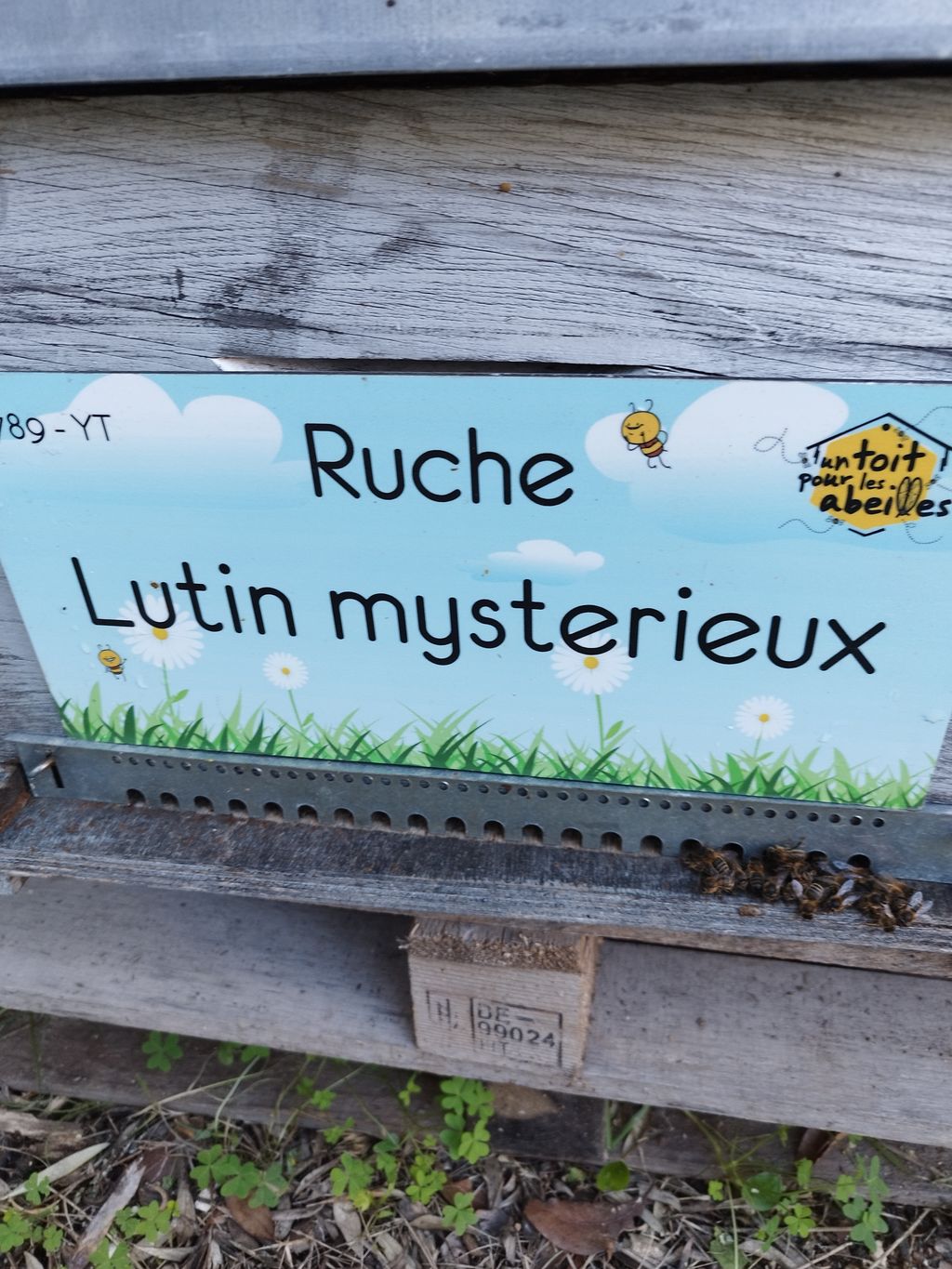 La ruche Lutin mysterieux