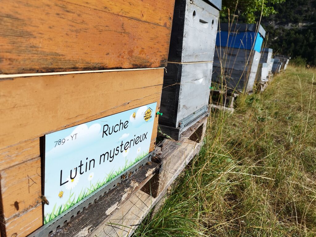 La ruche Lutin mysterieux