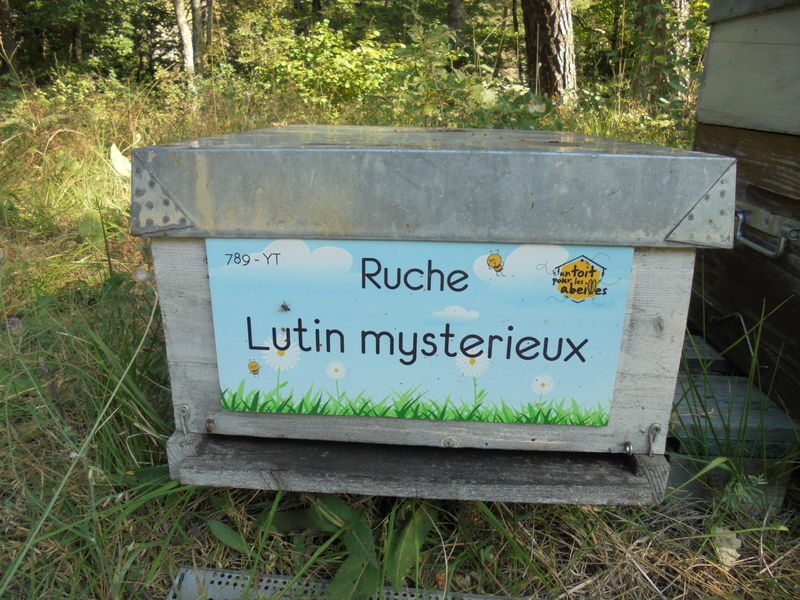 La ruche Lutin mysterieux