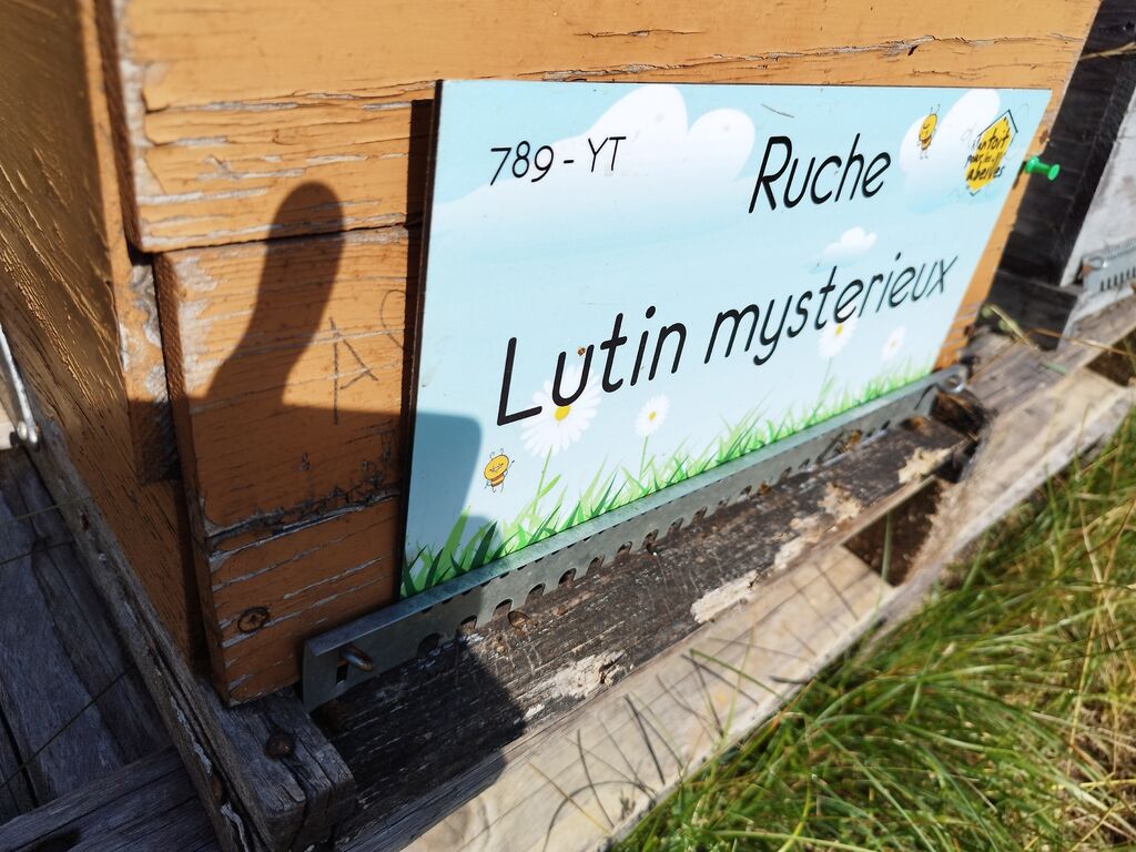 La ruche Lutin mysterieux