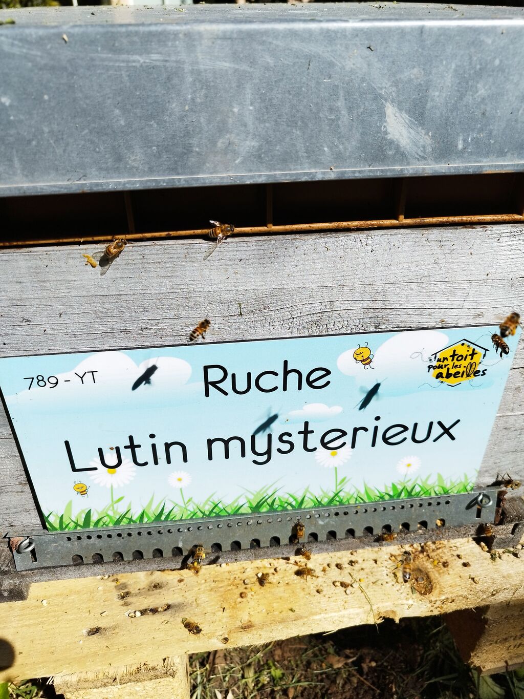 La ruche Lutin mysterieux