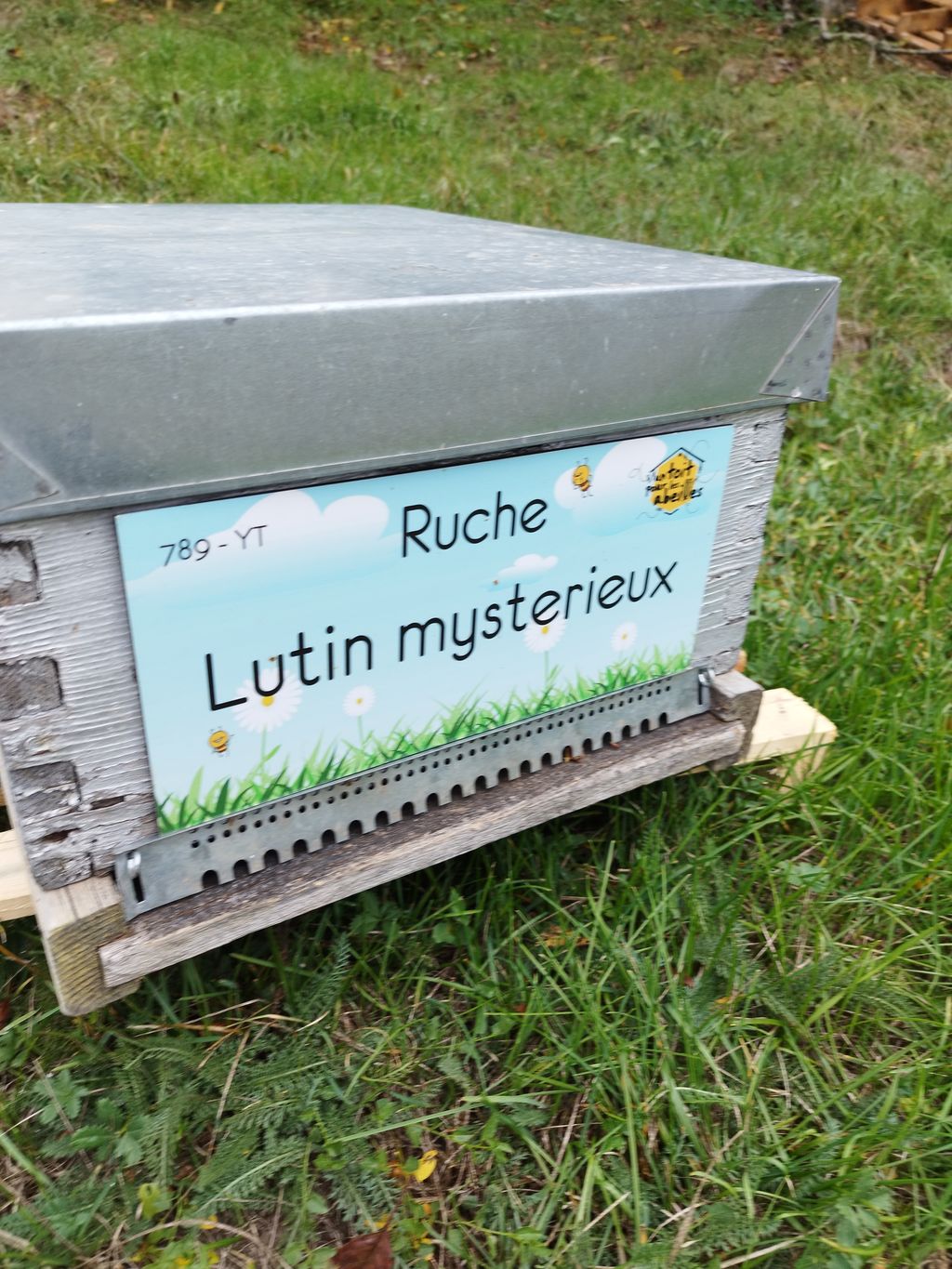 La ruche Lutin mysterieux