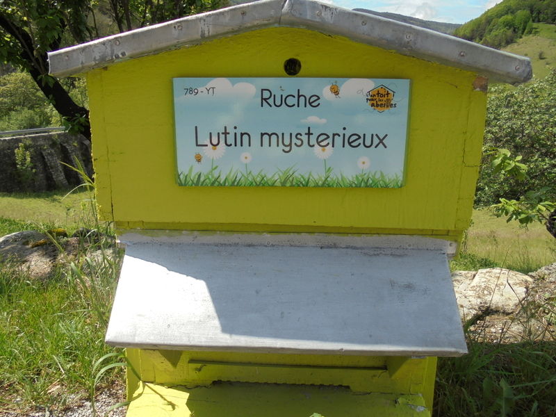 La ruche Lutin mysterieux