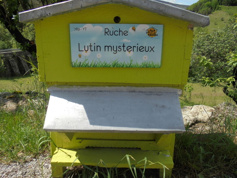 La ruche Lutin mysterieux