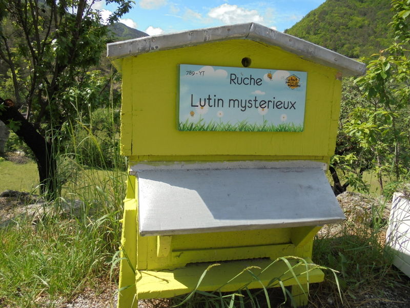 La ruche Lutin mysterieux
