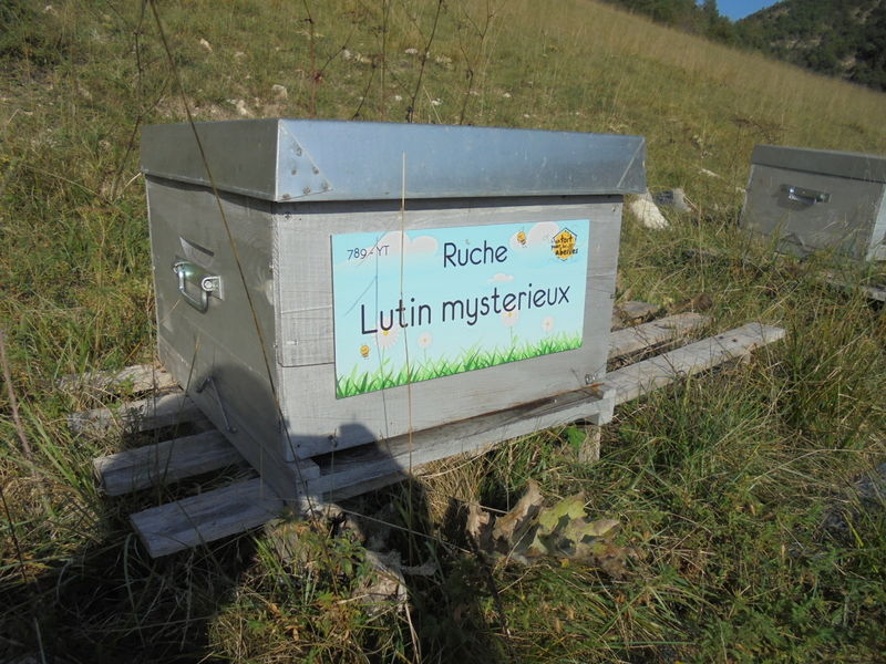 La ruche Lutin mysterieux