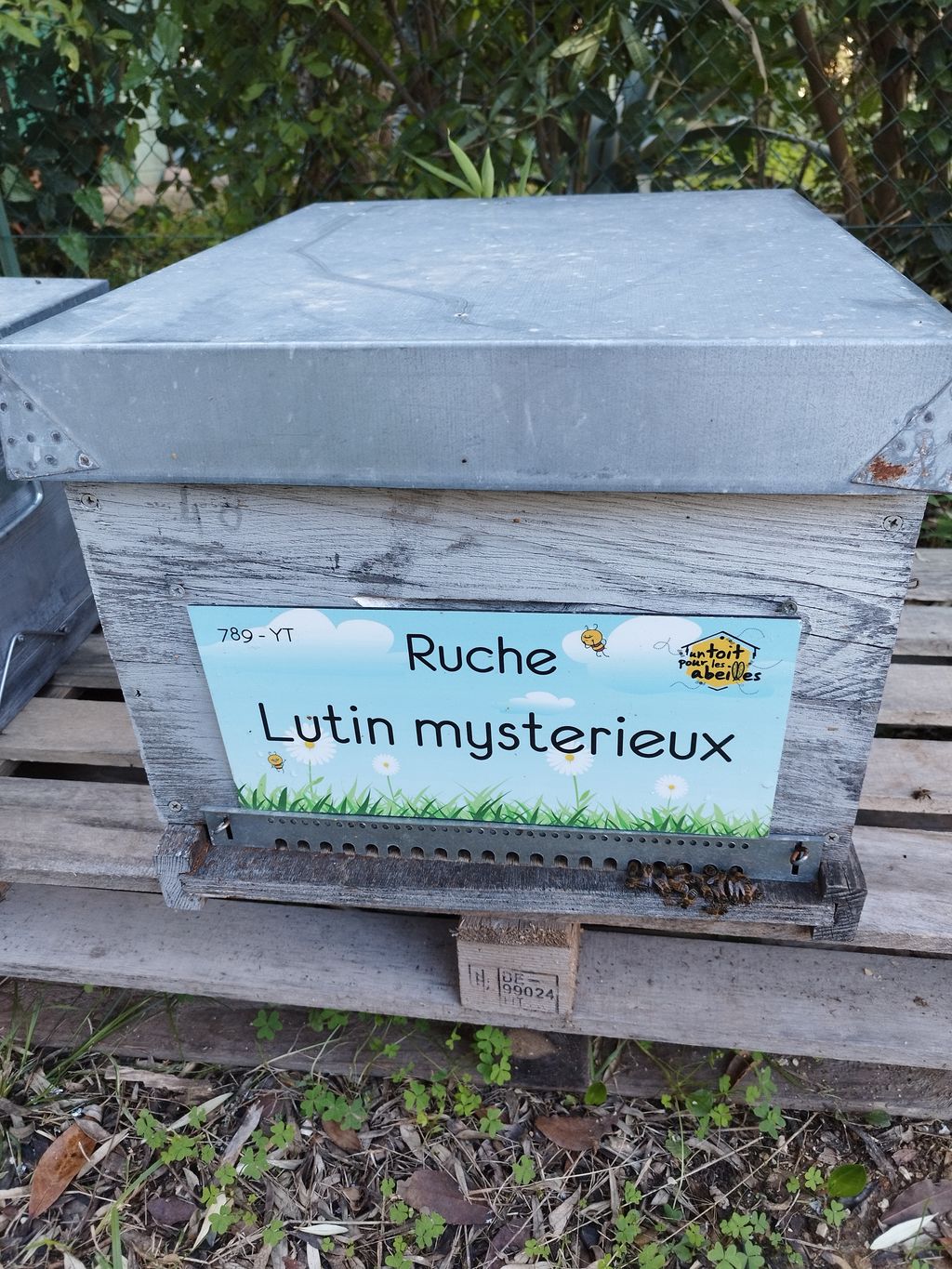La ruche Lutin mysterieux