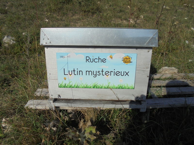 La ruche Lutin mysterieux