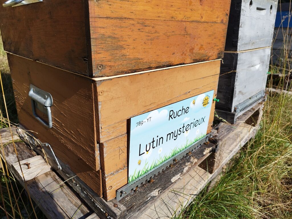 La ruche Lutin mysterieux