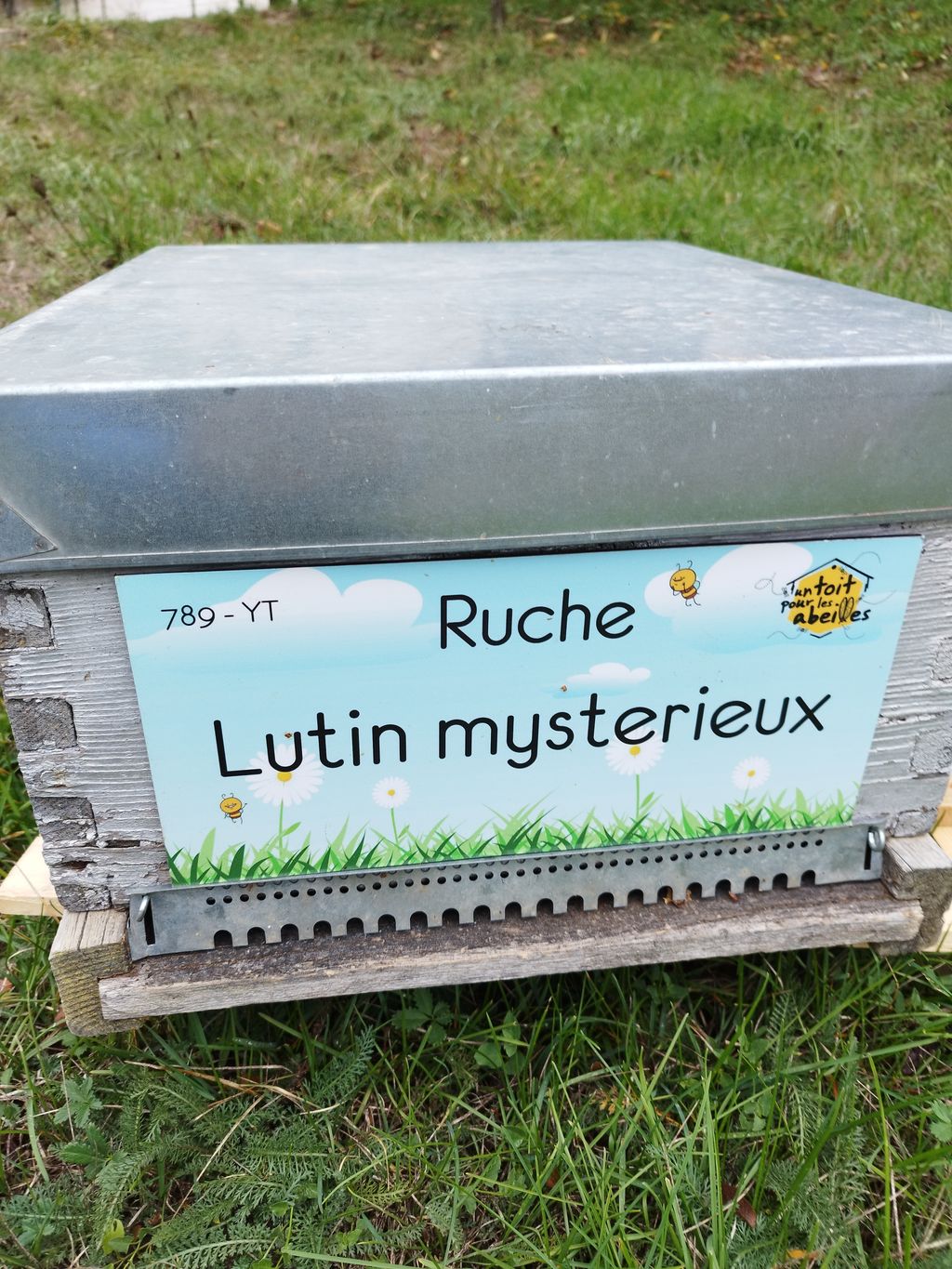 La ruche Lutin mysterieux