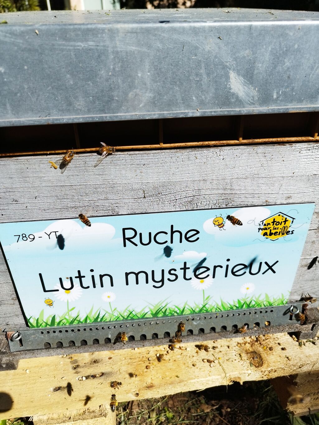 La ruche Lutin mysterieux