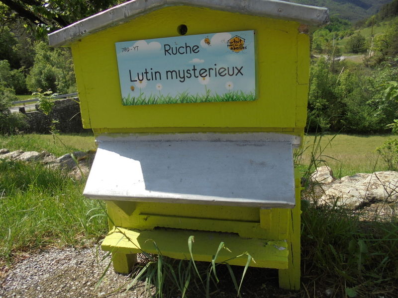 La ruche Lutin mysterieux