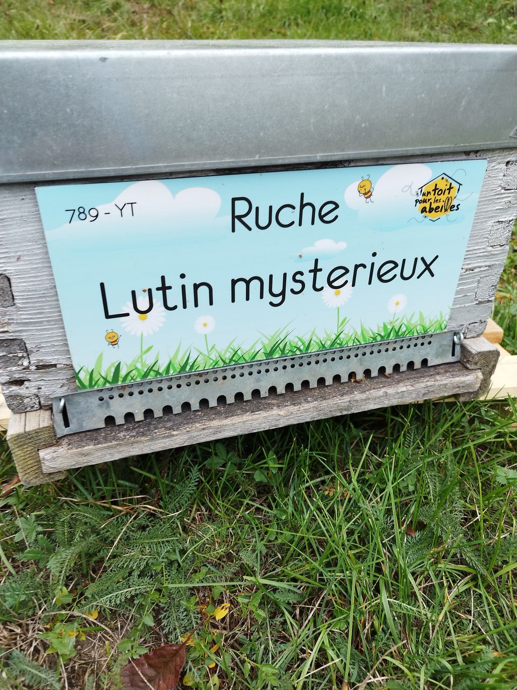 La ruche Lutin mysterieux