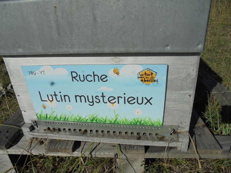 La ruche Lutin mysterieux