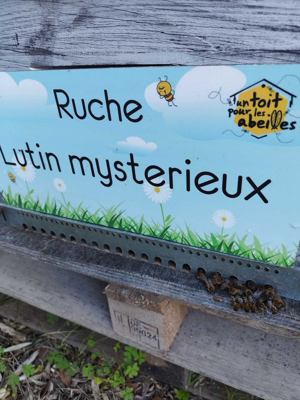 La ruche Lutin mysterieux