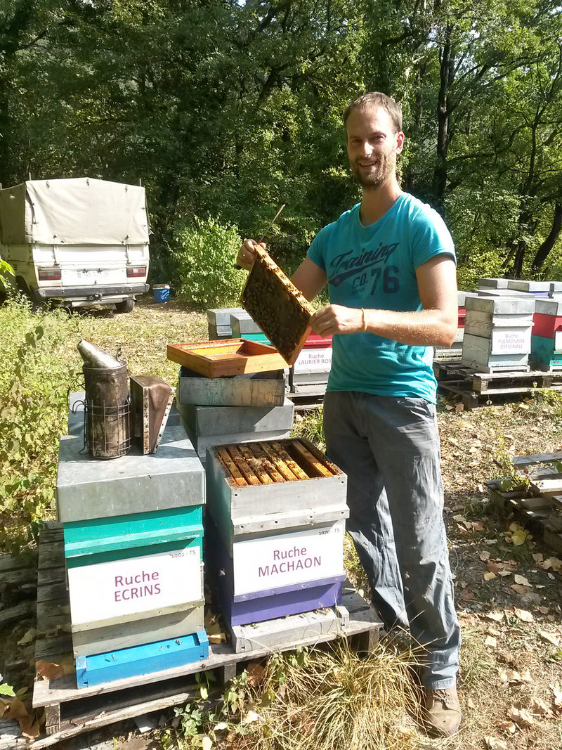 La ruche Machaon