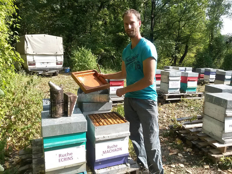 La ruche Machaon