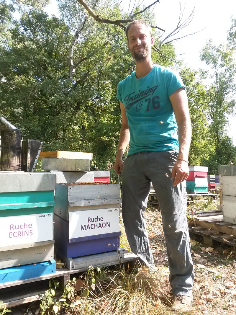 La ruche Machaon
