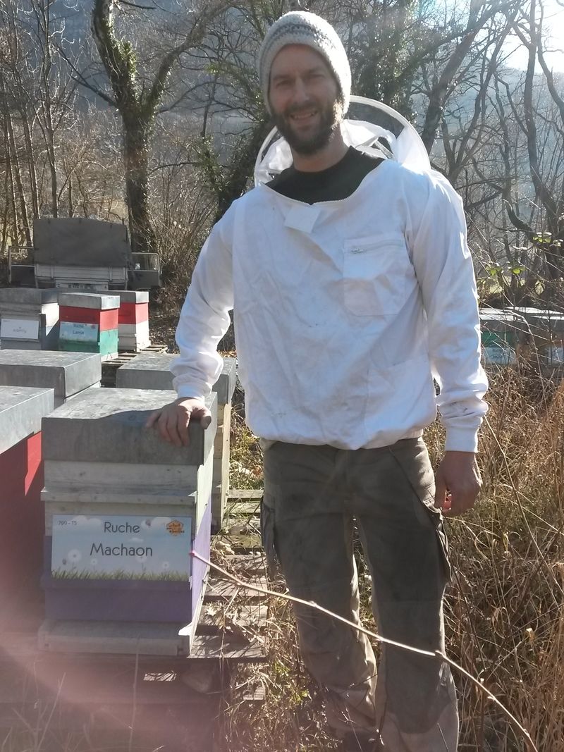 La ruche Machaon