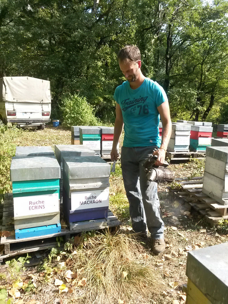 La ruche Machaon