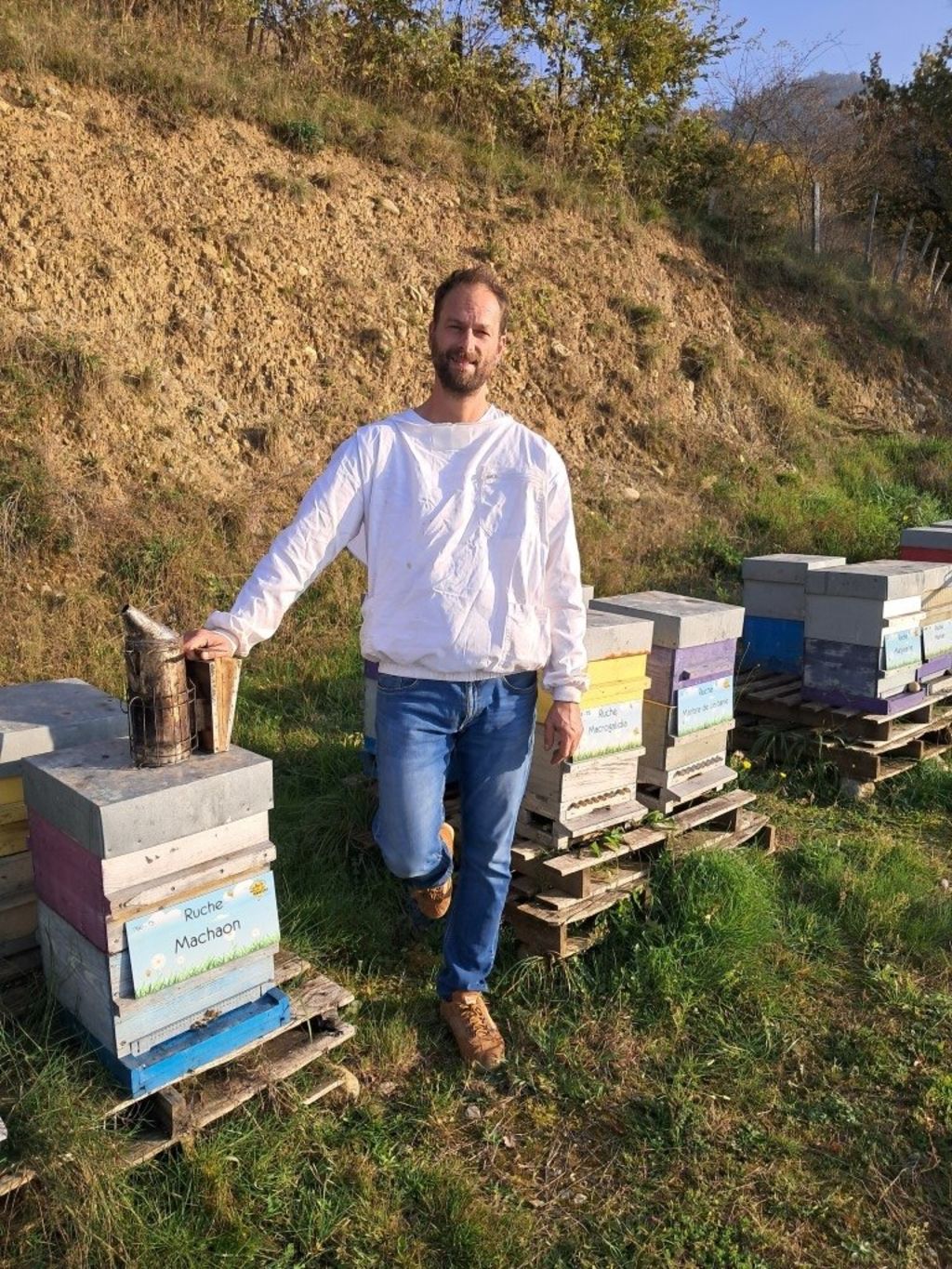 La ruche Machaon