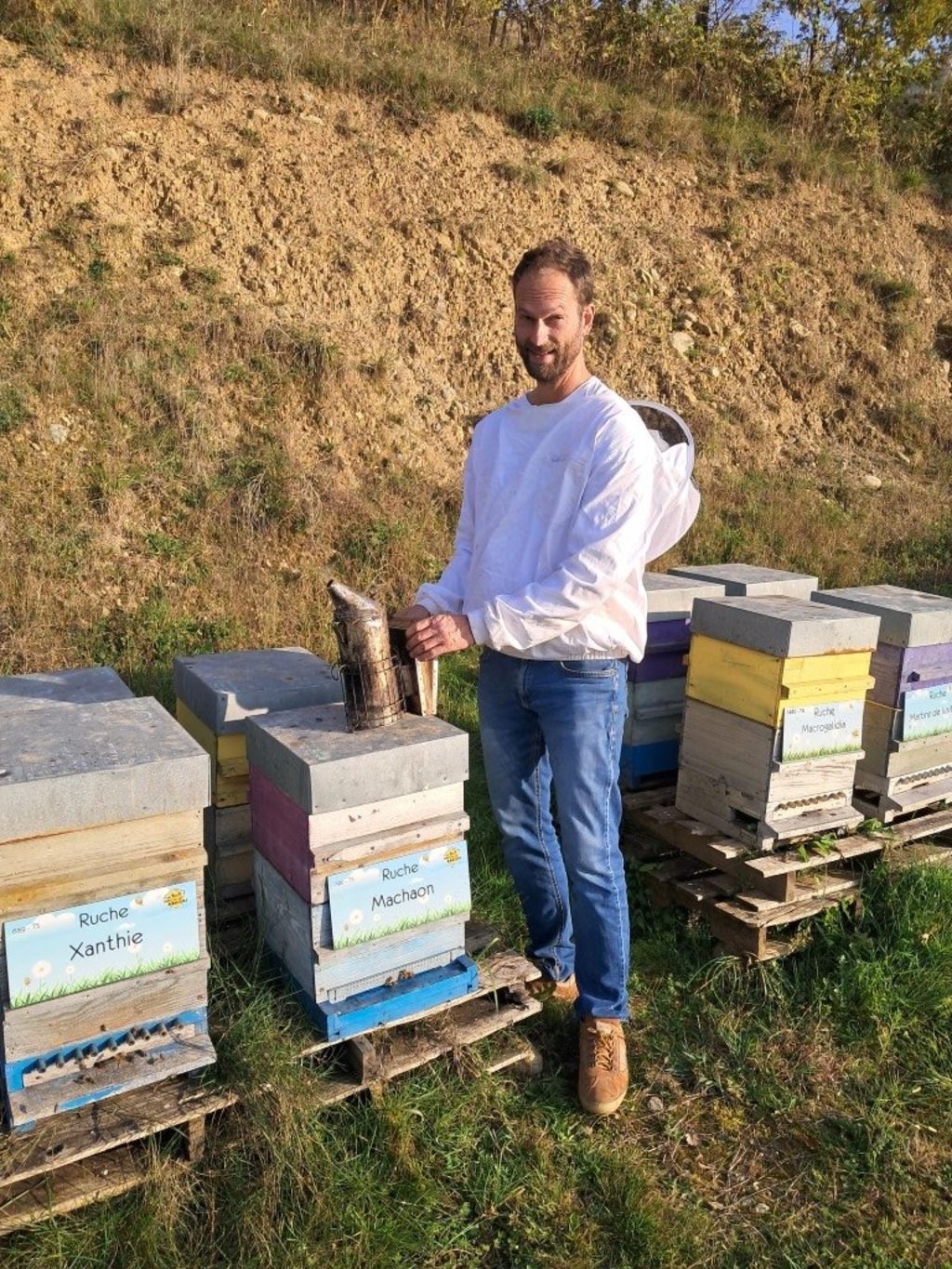 La ruche Machaon