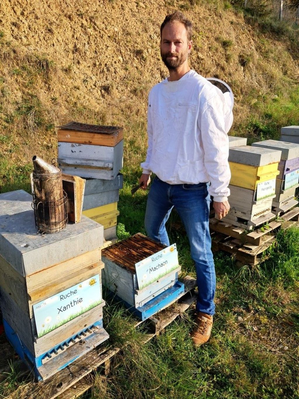 La ruche Machaon