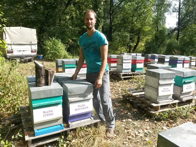 La ruche Machaon