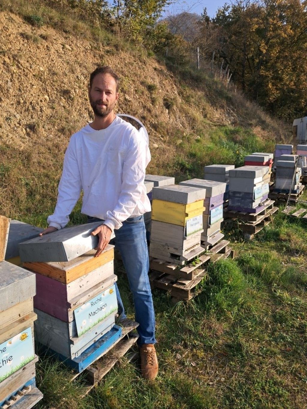 La ruche Machaon