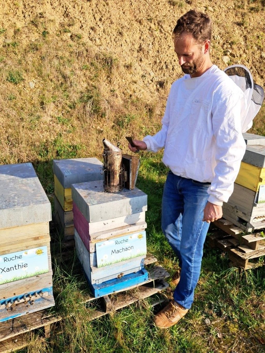 La ruche Machaon