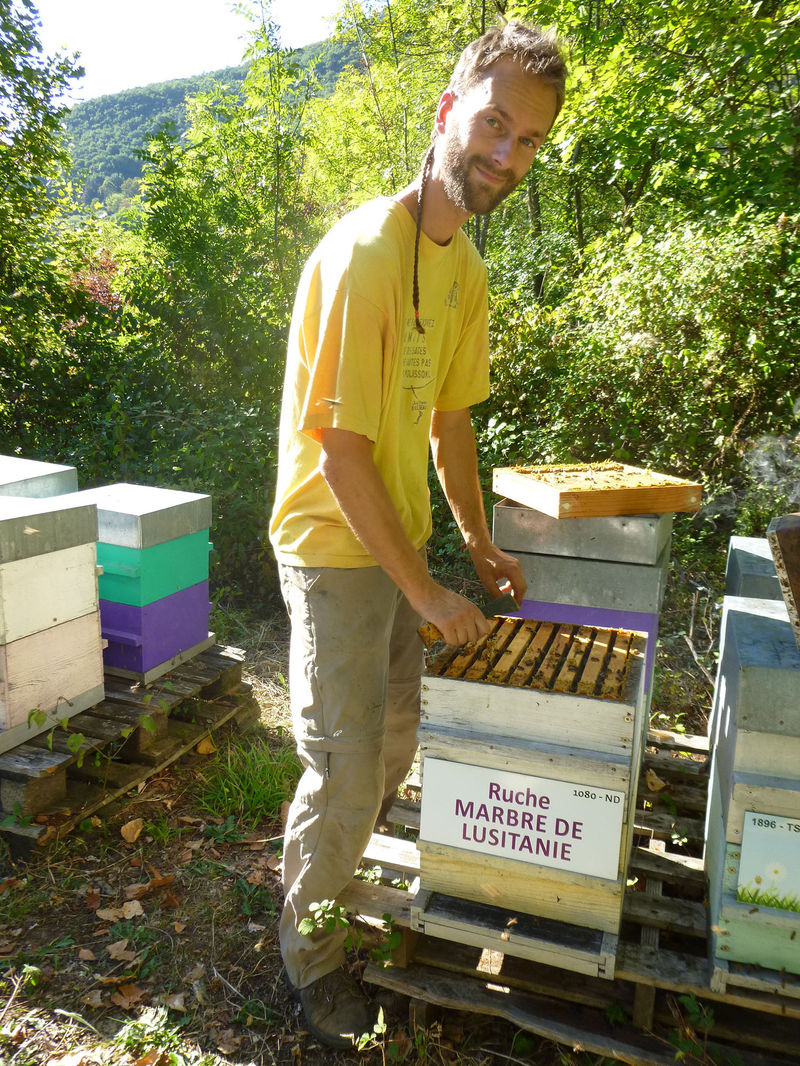 La ruche Marbre de lusitanie