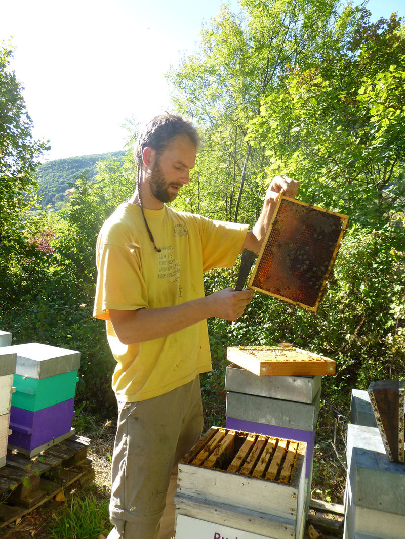La ruche Marbre de lusitanie