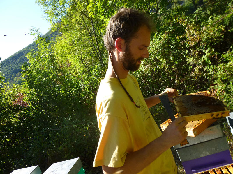 La ruche Marbre de lusitanie