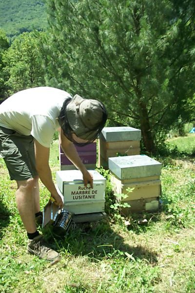 La ruche Marbre de lusitanie