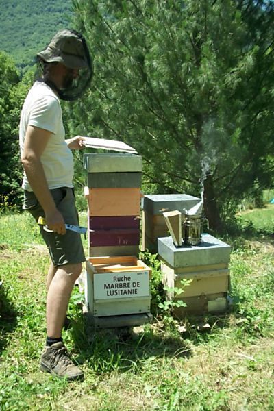 La ruche Marbre de lusitanie