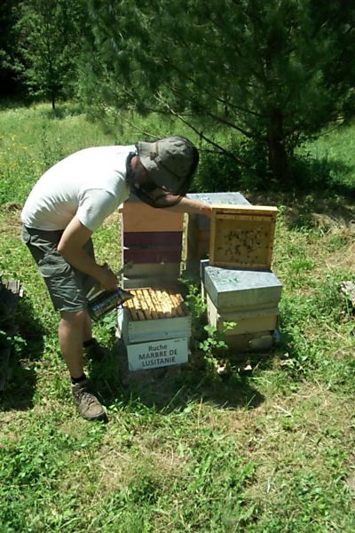 La ruche Marbre de lusitanie