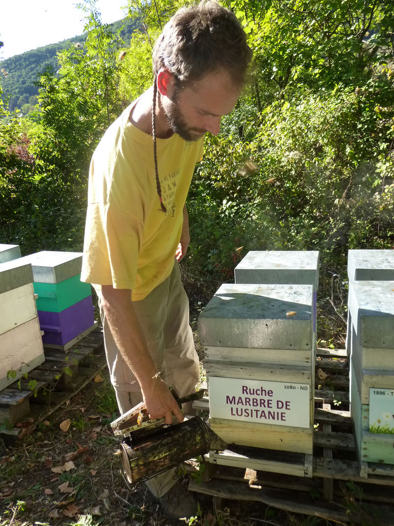La ruche Marbre de lusitanie