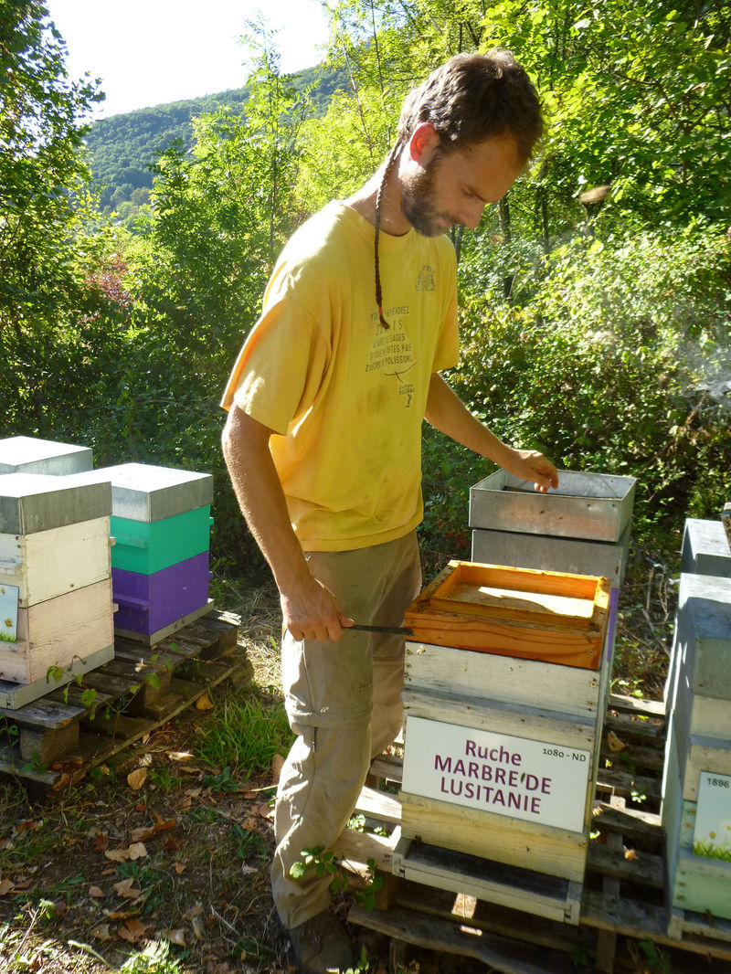 La ruche Marbre de lusitanie