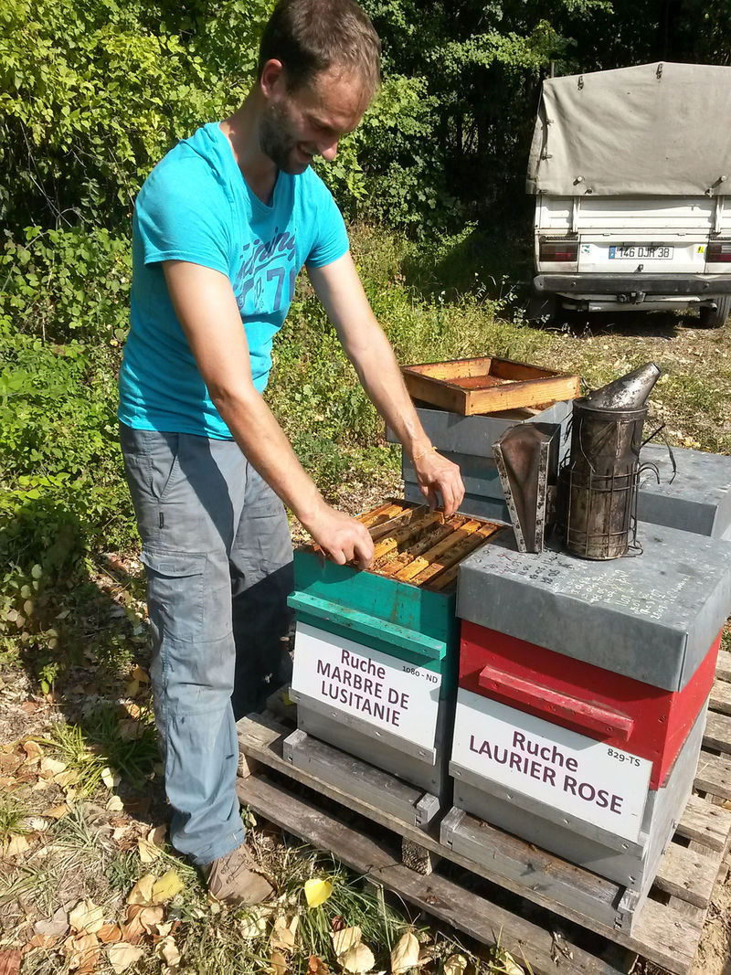 La ruche Marbre de lusitanie