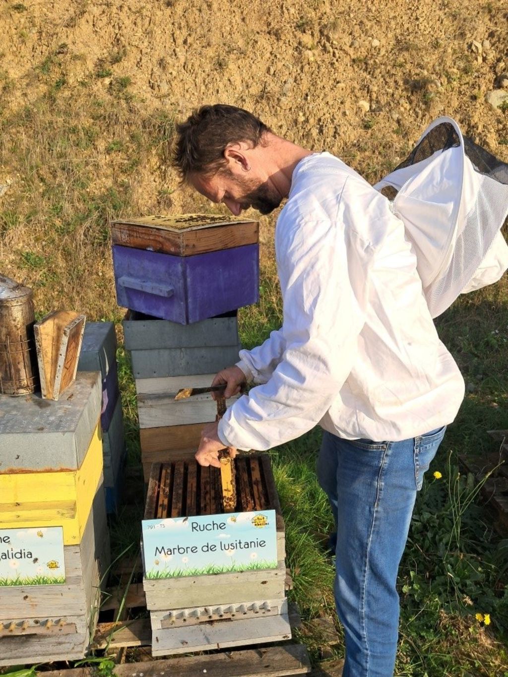 La ruche Marbre de lusitanie