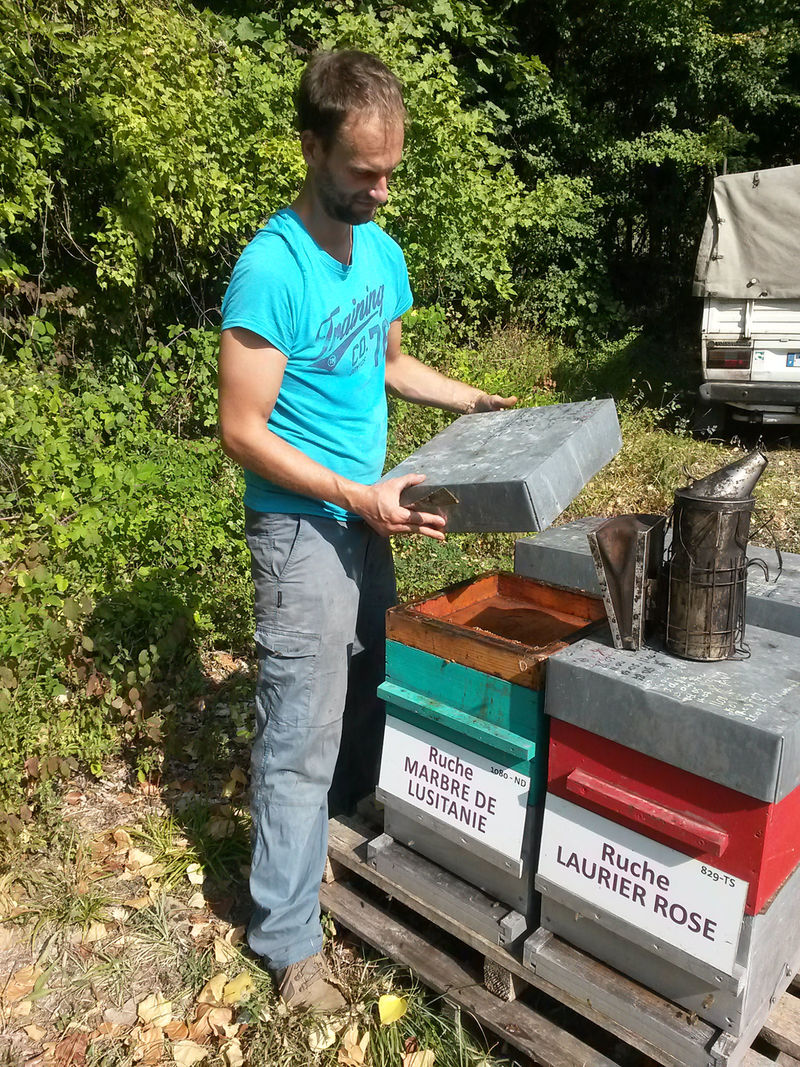 La ruche Marbre de lusitanie