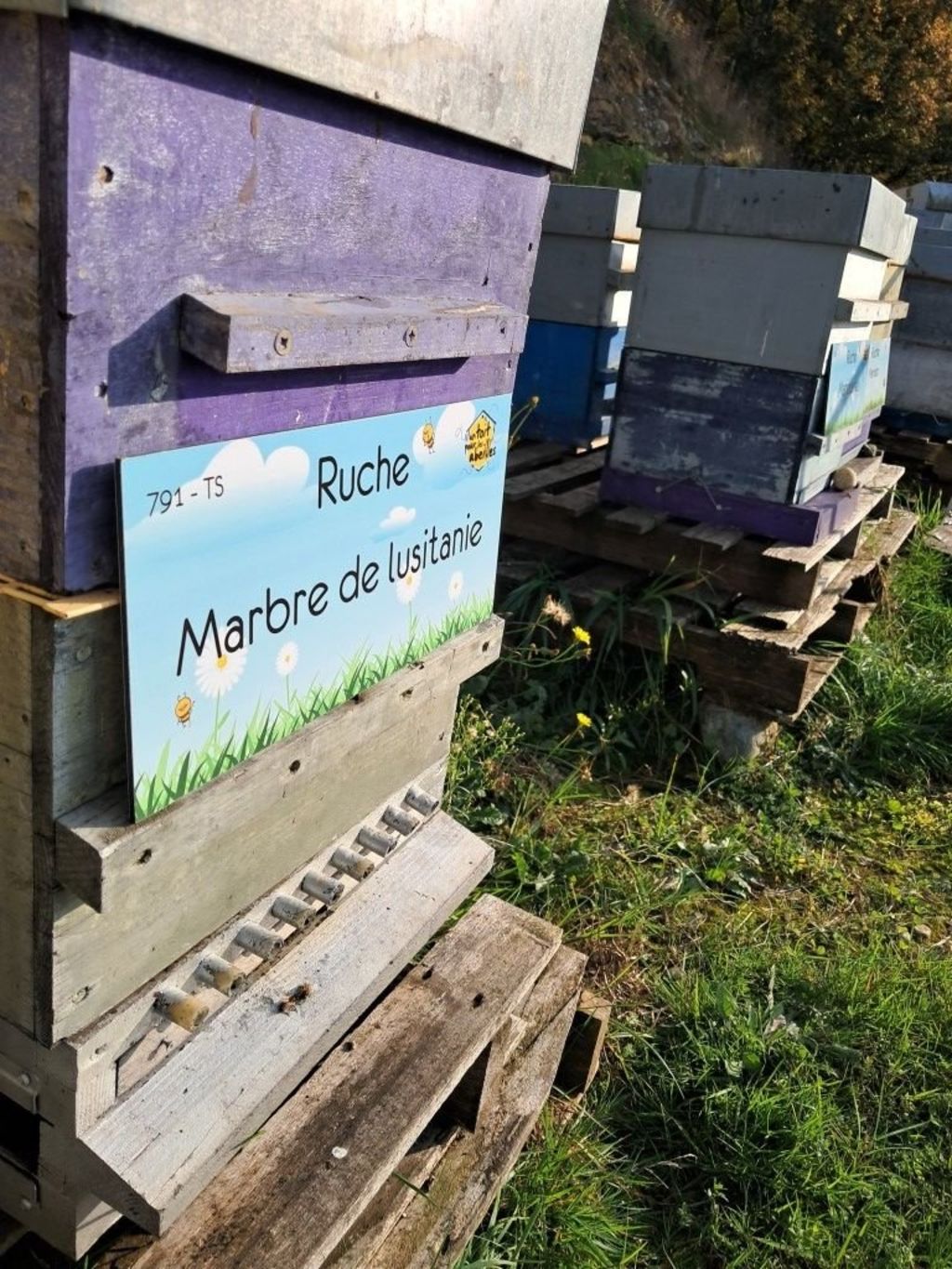 La ruche Marbre de lusitanie