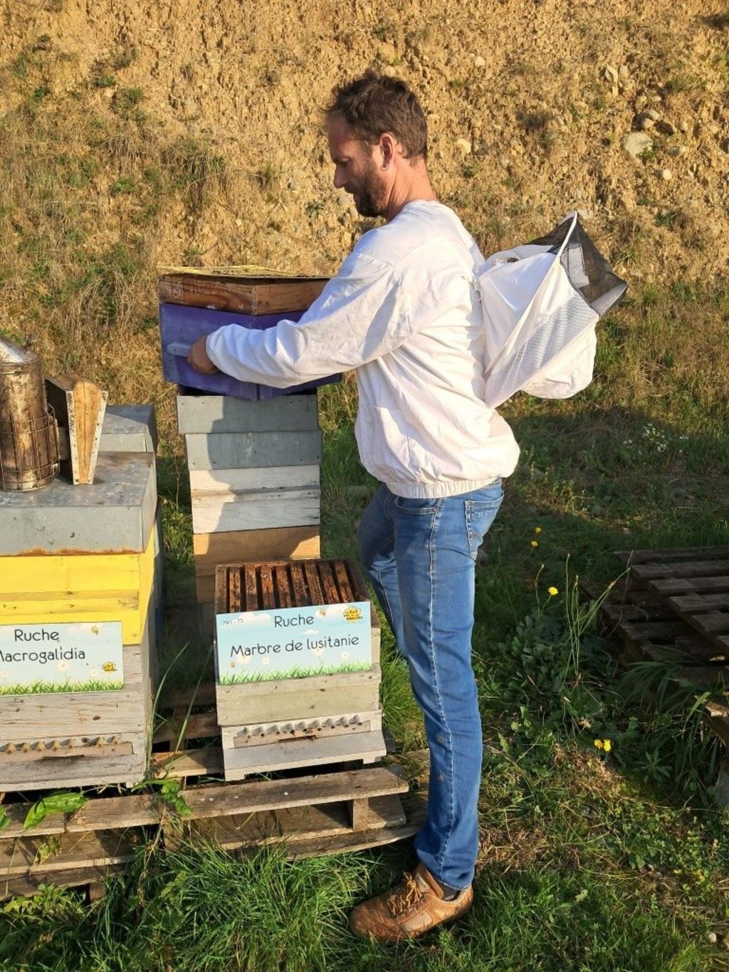 La ruche Marbre de lusitanie