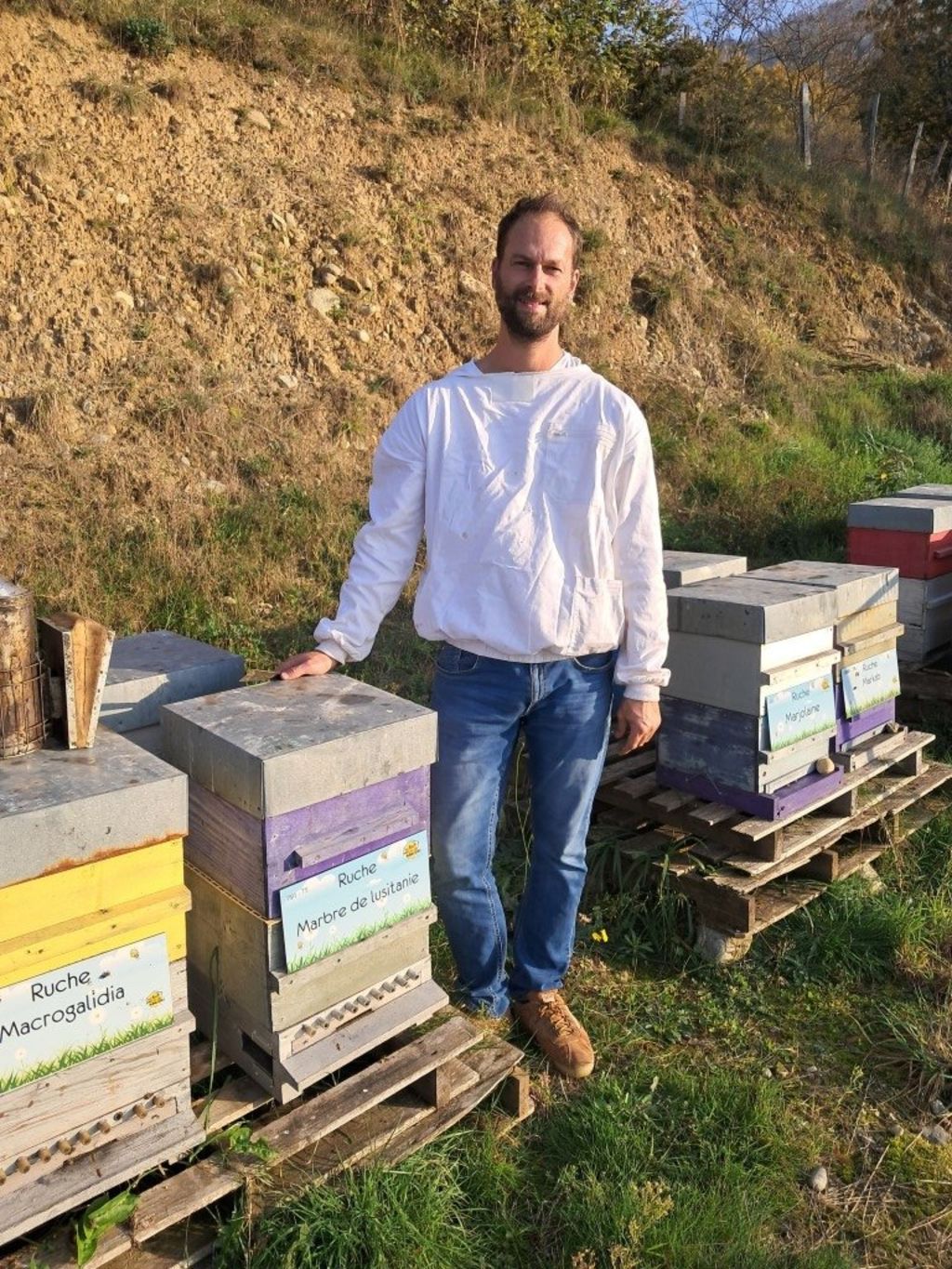 La ruche Marbre de lusitanie