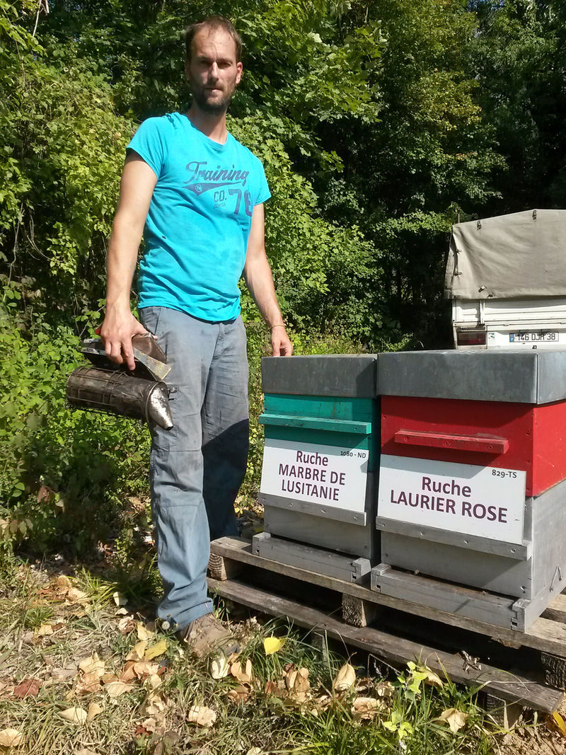 La ruche Marbre de lusitanie