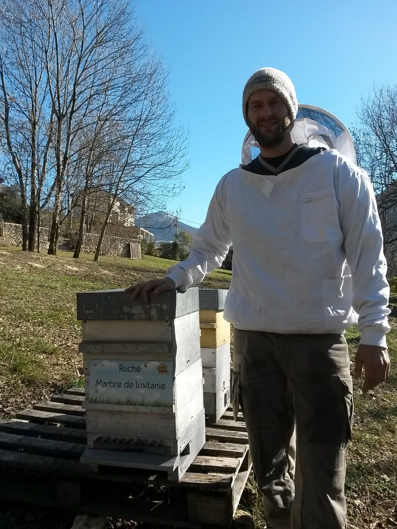 La ruche Marbre de lusitanie