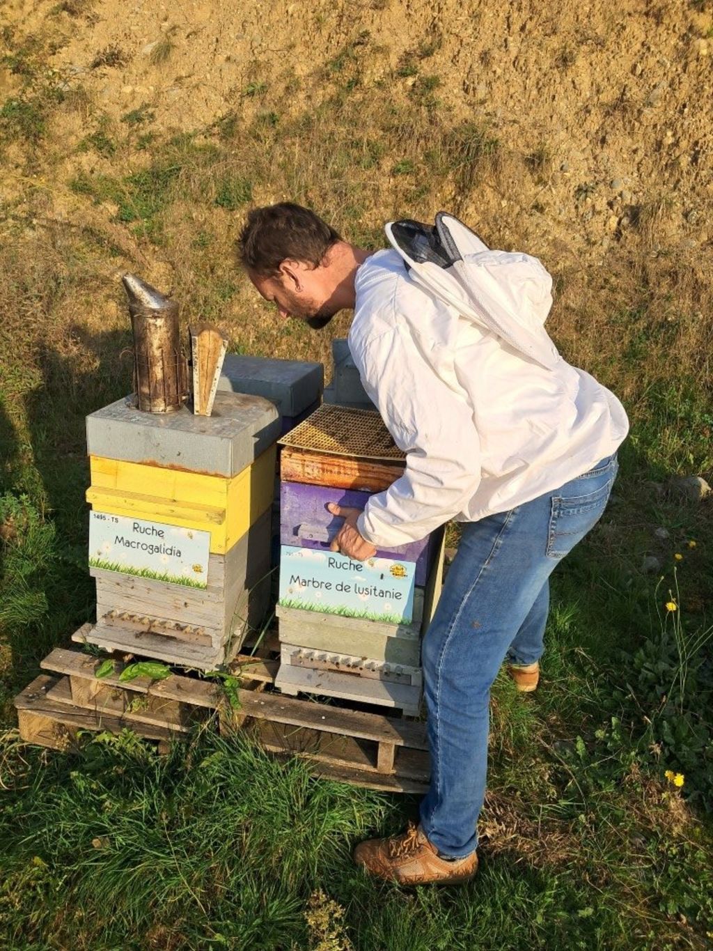 La ruche Marbre de lusitanie