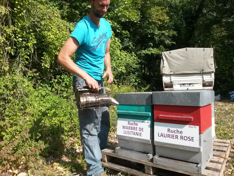 La ruche Marbre de lusitanie